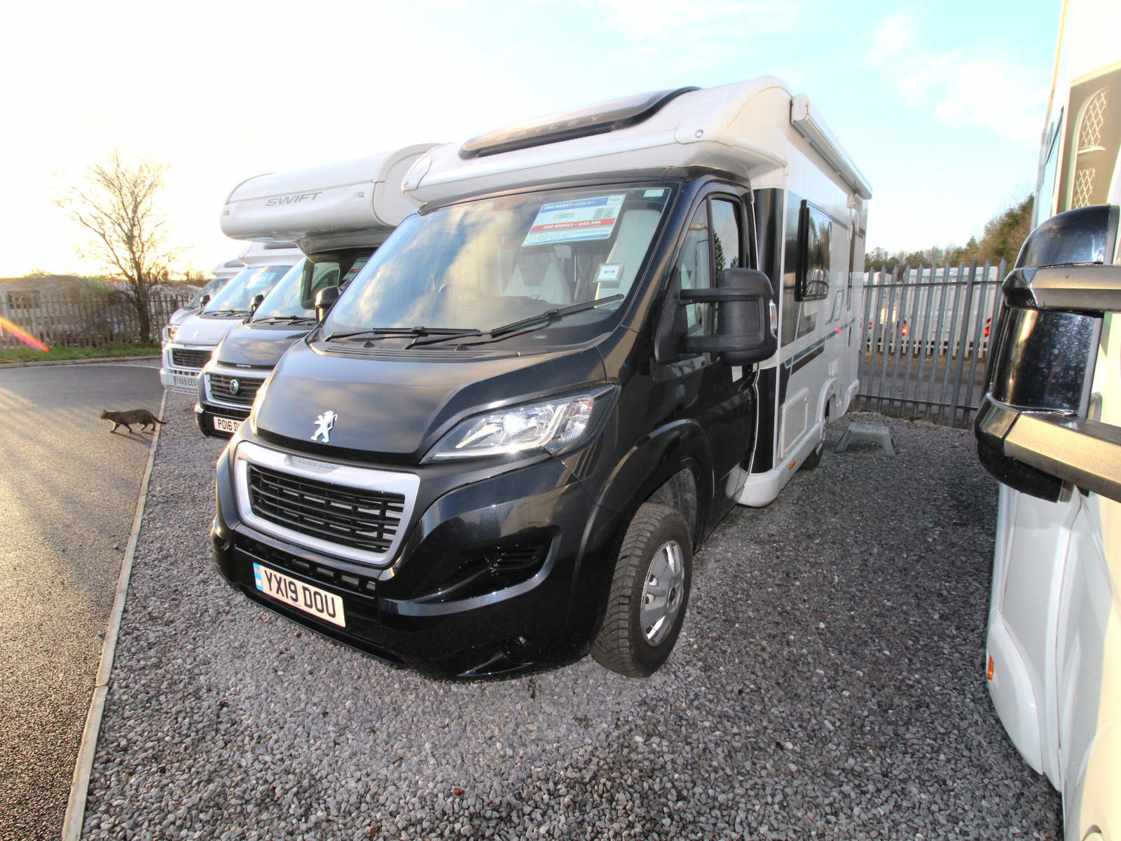 Bailey Alliance 66-2 - 2019 image