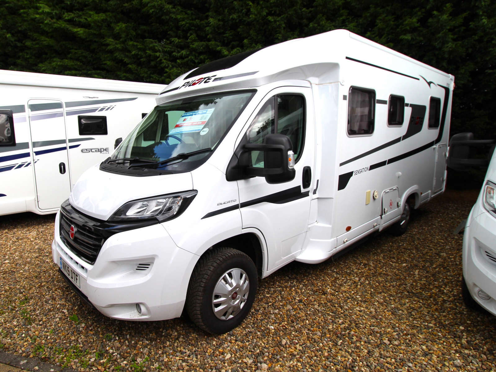 Pilote Sensation 700C - 2019 image