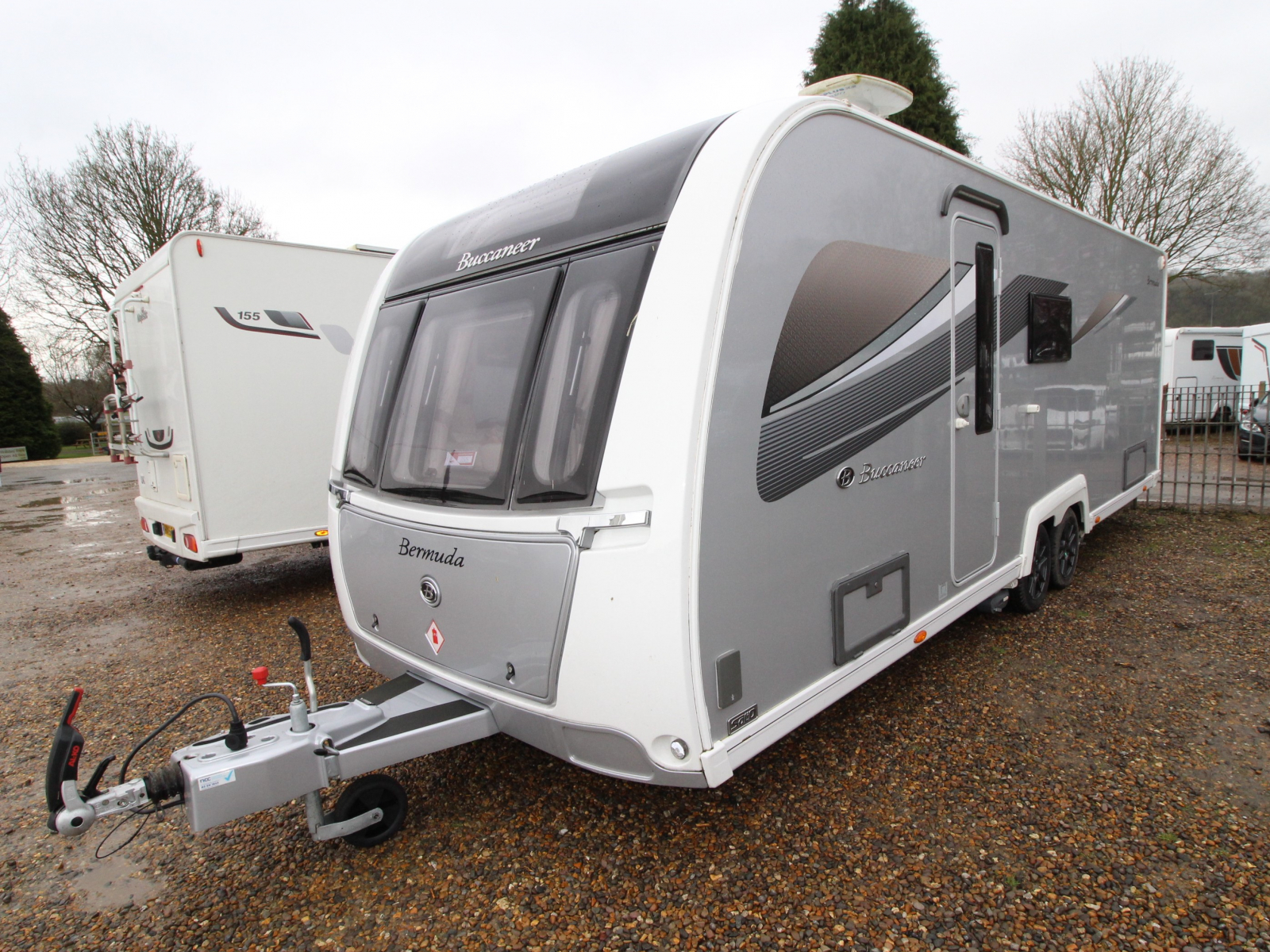 Buccaneer Bermuda - 2021 image