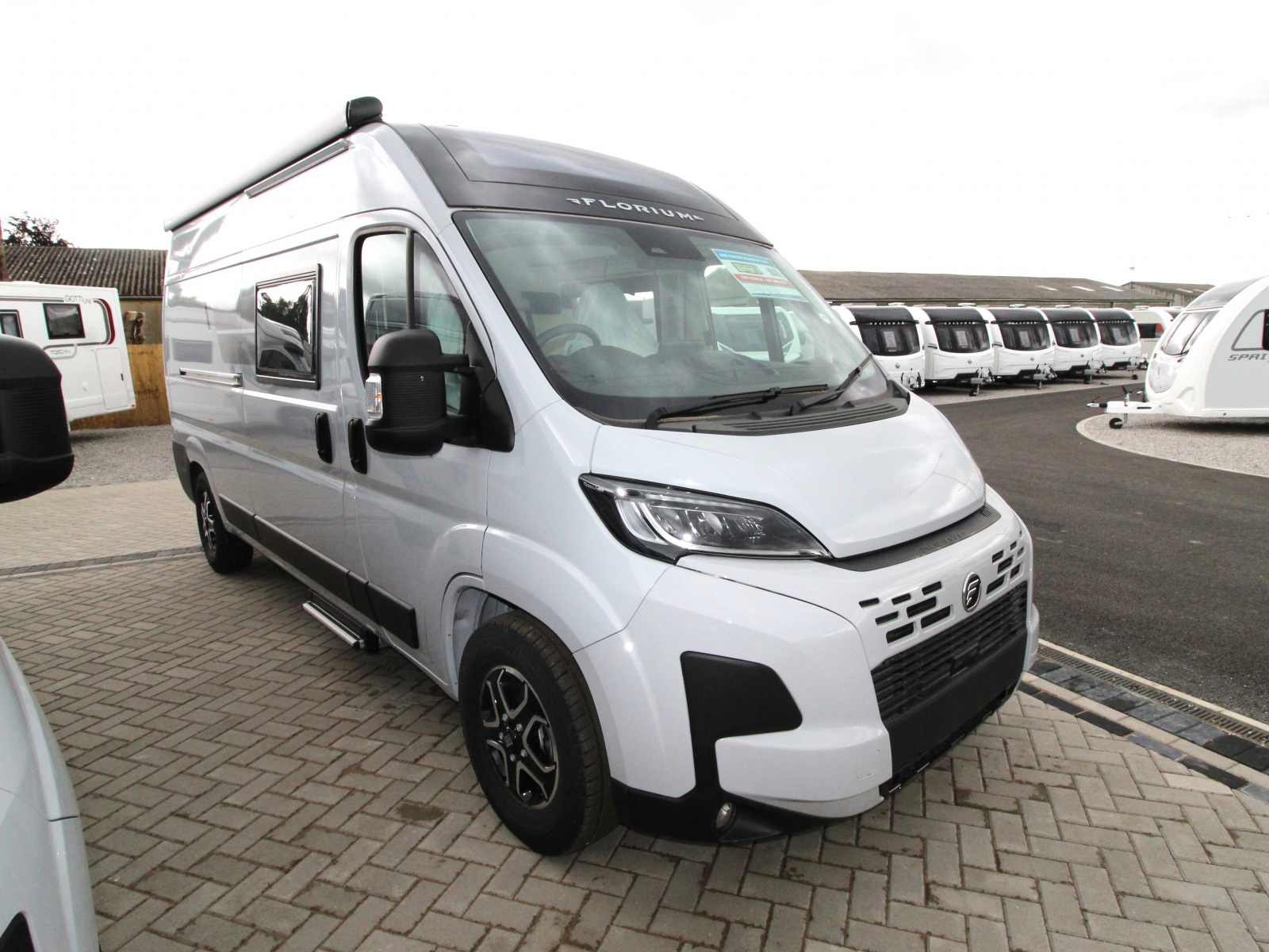 Fleurette/Florium Black Pearl 59 LT (68183) image