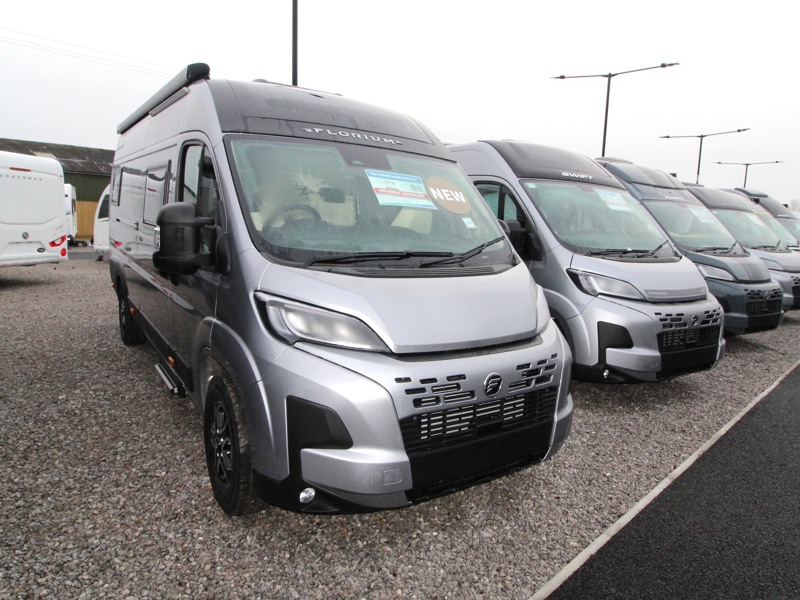 Fleurette/Florium Black Pearl 63 LJ - Artense Grey - 2026 image