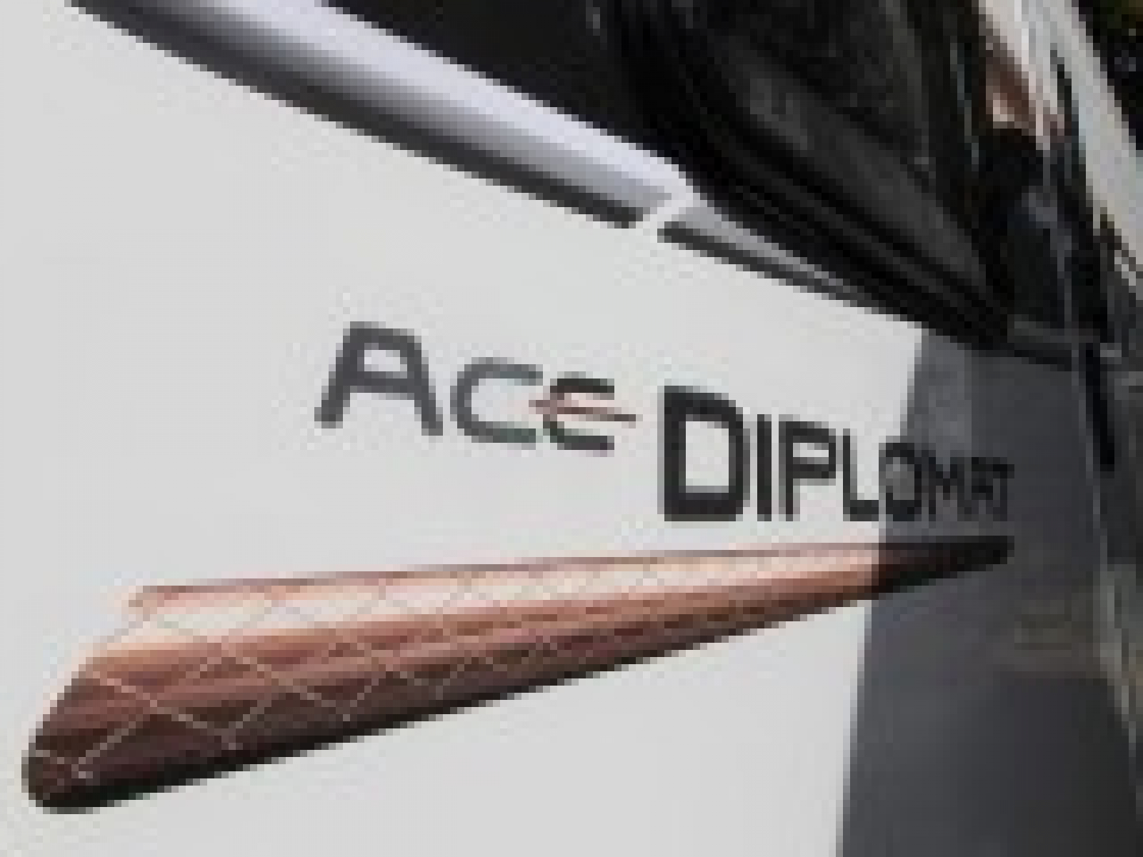 Swift Ace Diplomat 2019 Wandahome Special Edition image