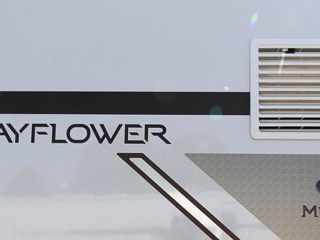 Fleurette/Florium Mayflower 74 LMF (62622) image