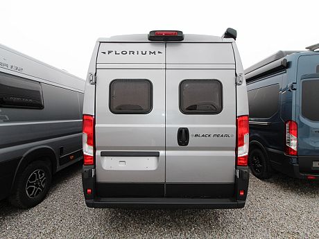 Fleurette/Florium Black Pearl 63 LJ - Artense Grey - 2026 image