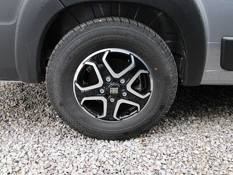 Fleurette/Florium Black Pearl 63 LJ - Artense Grey - 2026 image