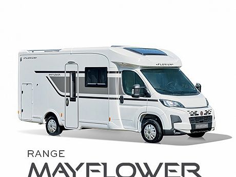 Fleurette/Florium Mayflower 74 LMF (65913) image