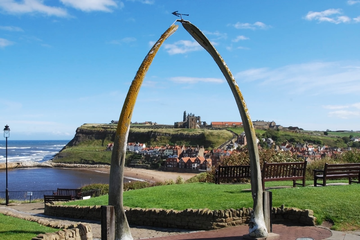 Overnight Motorhome Ban In Whitby And Scarborough Blog