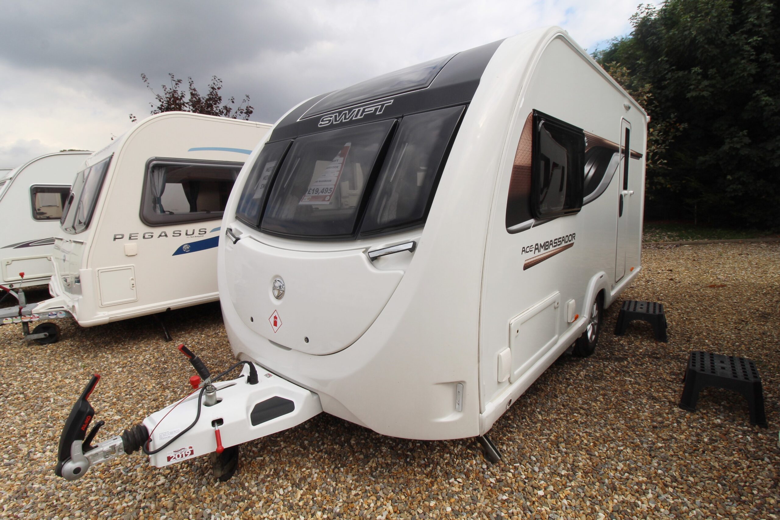 2019-swift-ace-ambassador-1_1.jpg