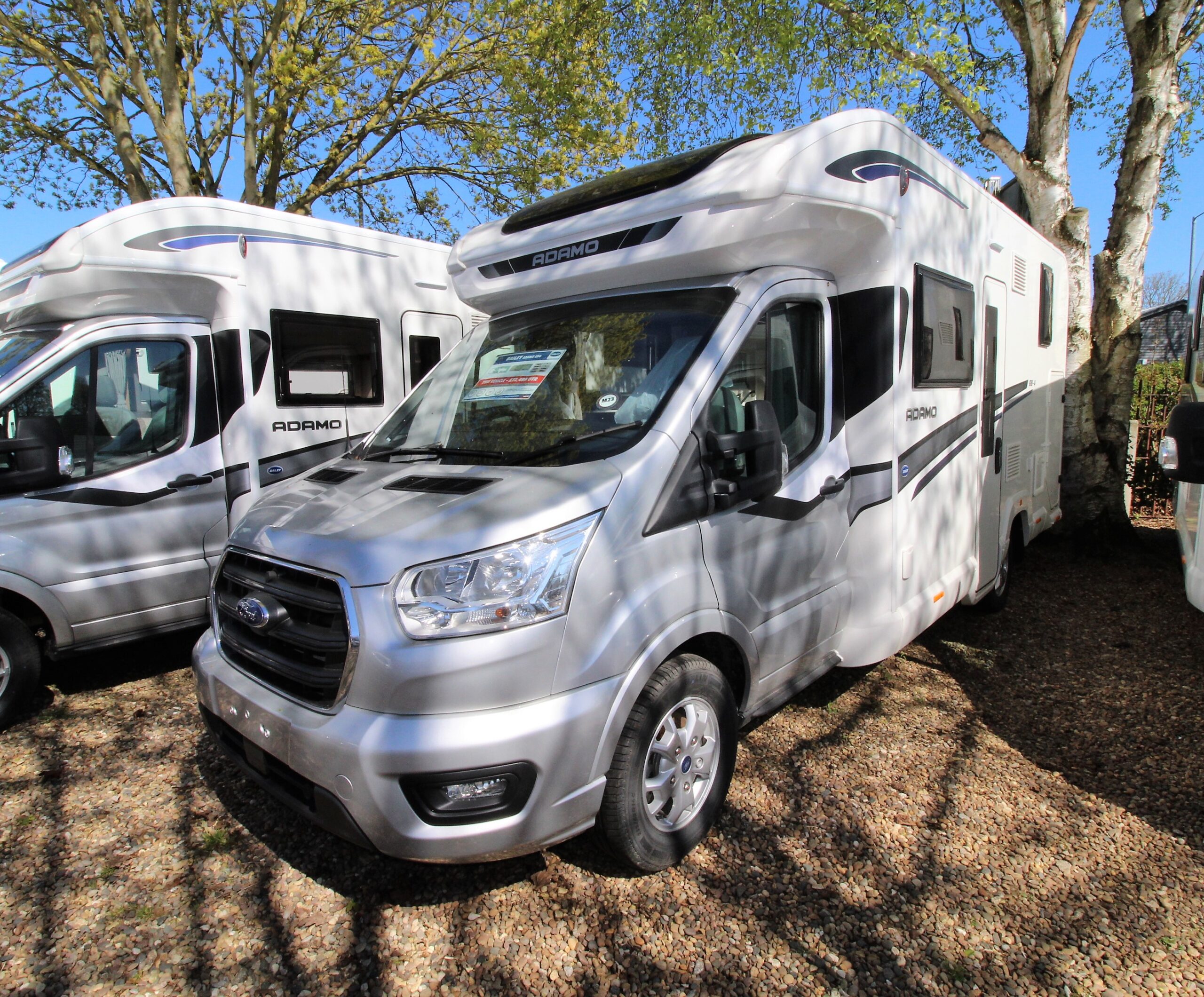 2023-bailey-adamo-694-8_1.jpg