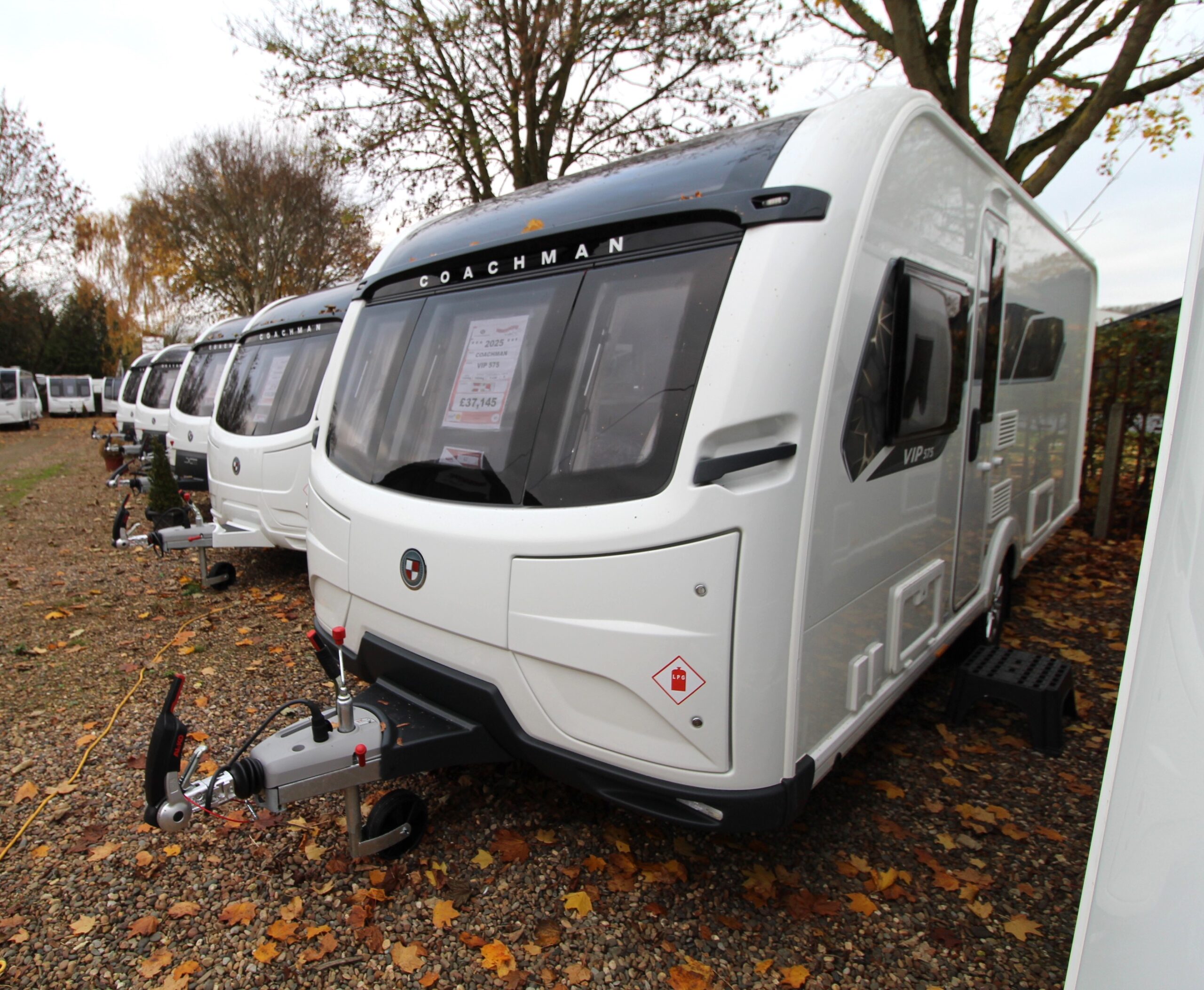 coachman-vip-575-11.jpg